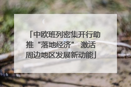 中欧班列密集开行助推“落地经济” 激活周边地区发展新动能