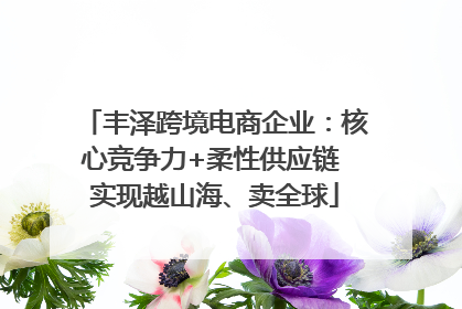 丰泽跨境电商企业：核心竞争力+柔性供应链 实现越山海、卖全球