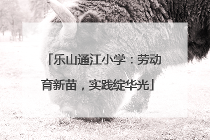 乐山通江小学：劳动育新苗，实践绽华光