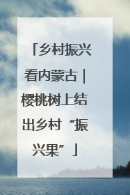 乡村振兴看内蒙古｜樱桃树上结出乡村“振兴果”