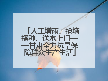 人工增雨、抢墒播种、送水上门——甘肃全力抗旱保障群众生产生活
