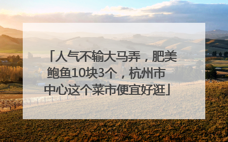 人气不输大马弄，肥美鲍鱼10块3个，杭州市中心这个菜市便宜好逛