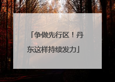 争做先行区！丹东这样持续发力