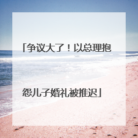 争议大了！以总理抱怨儿子婚礼被推迟