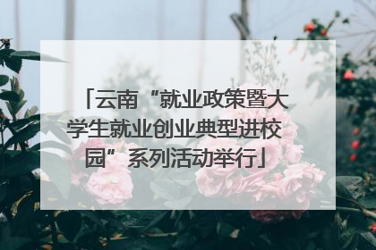 云南“就业政策暨大学生就业创业典型进校园”系列活动举行