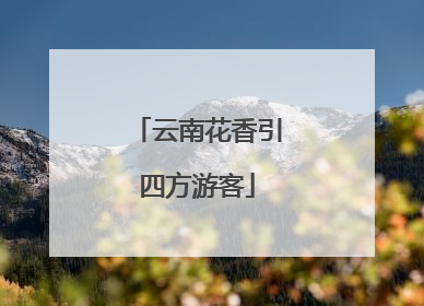 云南花香引四方游客