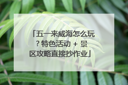 五一来威海怎么玩？特色活动 + 景区攻略直接抄作业