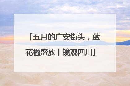 五月的广安街头，蓝花楹盛放丨镜观四川
