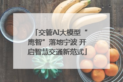 交管AI大模型“鹰智”落地宁波 开启智慧交通新范式