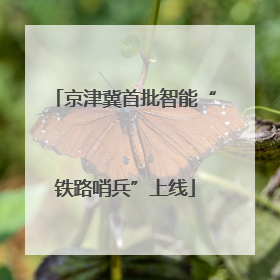 京津冀首批智能“铁路哨兵”上线