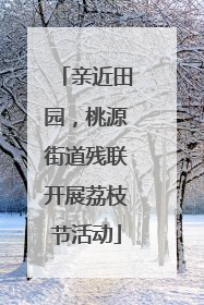亲近田园，桃源街道残联开展荔枝节活动