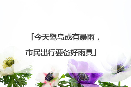 今天鹭岛或有暴雨，市民出行要备好雨具
