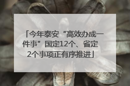 今年泰安“高效办成一件事”国定12个、省定2个事项正有序推进
