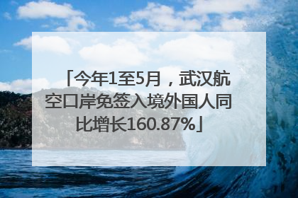 今年1至5月，武汉航空口岸免签入境外国人同比增长160.87%