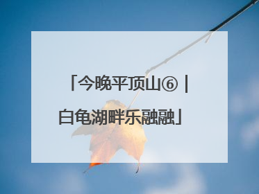 今晚平顶山⑥｜白龟湖畔乐融融
