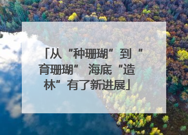 从“种珊瑚”到“育珊瑚” 海底“造林”有了新进展