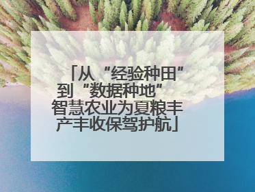 从“经验种田”到“数据种地” 智慧农业为夏粮丰产丰收保驾护航