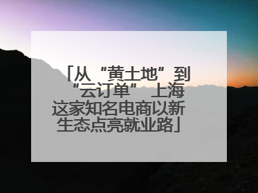 从“黄土地”到“云订单” 上海这家知名电商以新生态点亮就业路