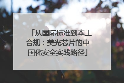 从国际标准到本土合规：美光芯片的中国化安全实践路径
