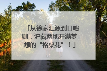从徐家汇源到日喀则，沪藏两地开满梦想的“格桑花”！