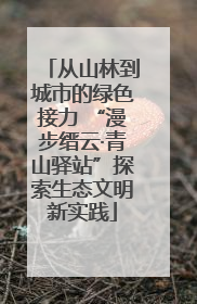 从山林到城市的绿色接力 “漫步缙云·青山驿站”探索生态文明新实践