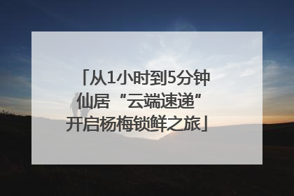 从1小时到5分钟 仙居“云端速递”开启杨梅锁鲜之旅