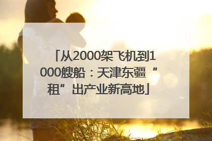 从2000架飞机到1000艘船：天津东疆“租”出产业新高地