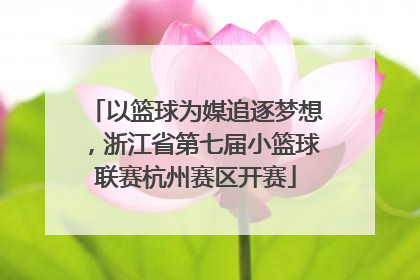 以篮球为媒追逐梦想，浙江省第七届小篮球联赛杭州赛区开赛