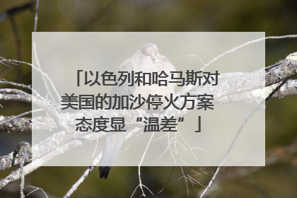 以色列和哈马斯对美国的加沙停火方案态度显“温差”