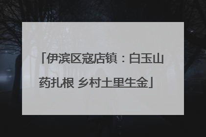 伊滨区寇店镇：白玉山药扎根 乡村土里生金