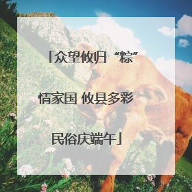 众望攸归“粽”情家国 攸县多彩民俗庆端午
