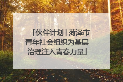 伙伴计划│菏泽市青年社会组织为基层治理注入青春力量