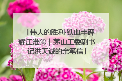 伟大的胜利·铁血丰碑耀江淮⑥｜茅山工委副书记洪天诚的亲笔信