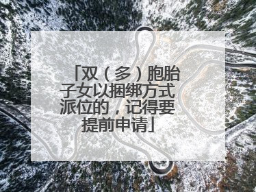双（多）胞胎子女以捆绑方式派位的，记得要提前申请