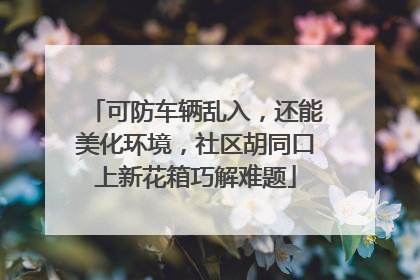 可防车辆乱入，还能美化环境，社区胡同口上新花箱巧解难题