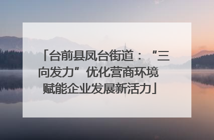 台前县凤台街道：“三向发力”优化营商环境 赋能企业发展新活力