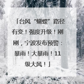 台风“蝴蝶”路径有变！强度升级！刚刚，宁波发布预警：暴雨！大暴雨！11级大风！