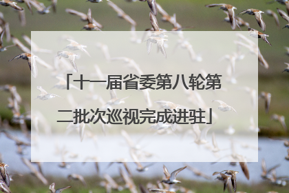 十一届省委第八轮第二批次巡视完成进驻