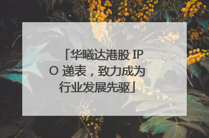 华曦达港股 IPO 递表，致力成为行业发展先驱