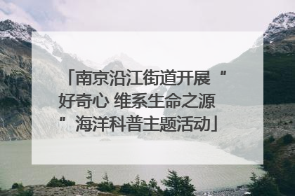 南京沿江街道开展“好奇心 维系生命之源”海洋科普主题活动