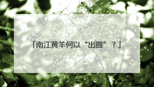 南江黄羊何以“出圈”？