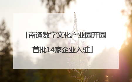 南通数字文化产业园开园 首批14家企业入驻