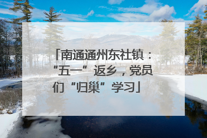 南通通州东社镇：“五一”返乡，党员们“归巢”学习