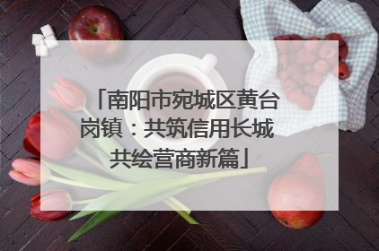 南阳市宛城区黄台岗镇：共筑信用长城 共绘营商新篇