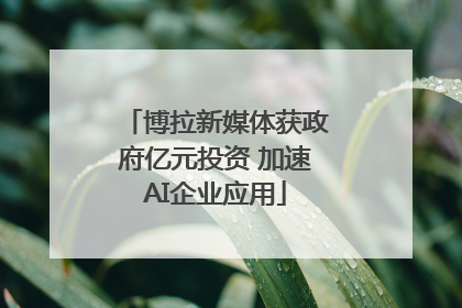 博拉新媒体获政府亿元投资 加速AI企业应用