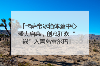 卡萨帝冰箱体验中心盛大启幕，创意狂欢“嵌”入青岛富尔玛