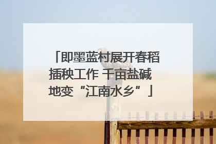 即墨蓝村展开春稻插秧工作 千亩盐碱地变“江南水乡”