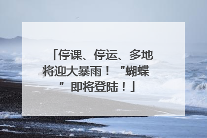 停课、停运、多地将迎大暴雨！“蝴蝶”即将登陆！