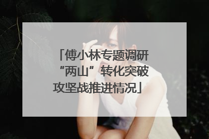 傅小林专题调研“两山”转化突破攻坚战推进情况