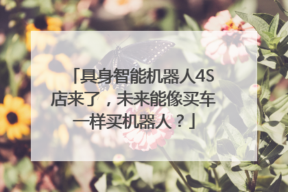 具身智能机器人4S店来了，未来能像买车一样买机器人？